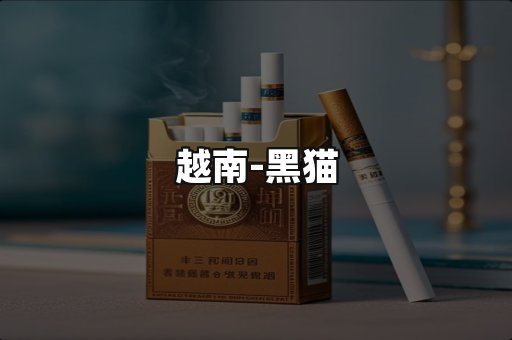 越南黑猫